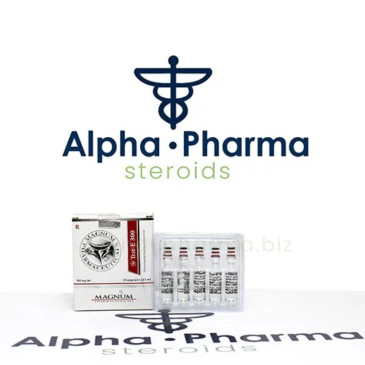 Test-E 300 (Magnum Pharmaceuticals)